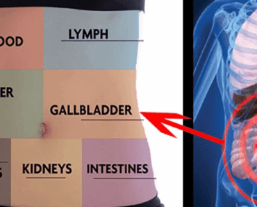 Feeling Drained? Do This to Detox Your Organs and Reclaim Your Energy